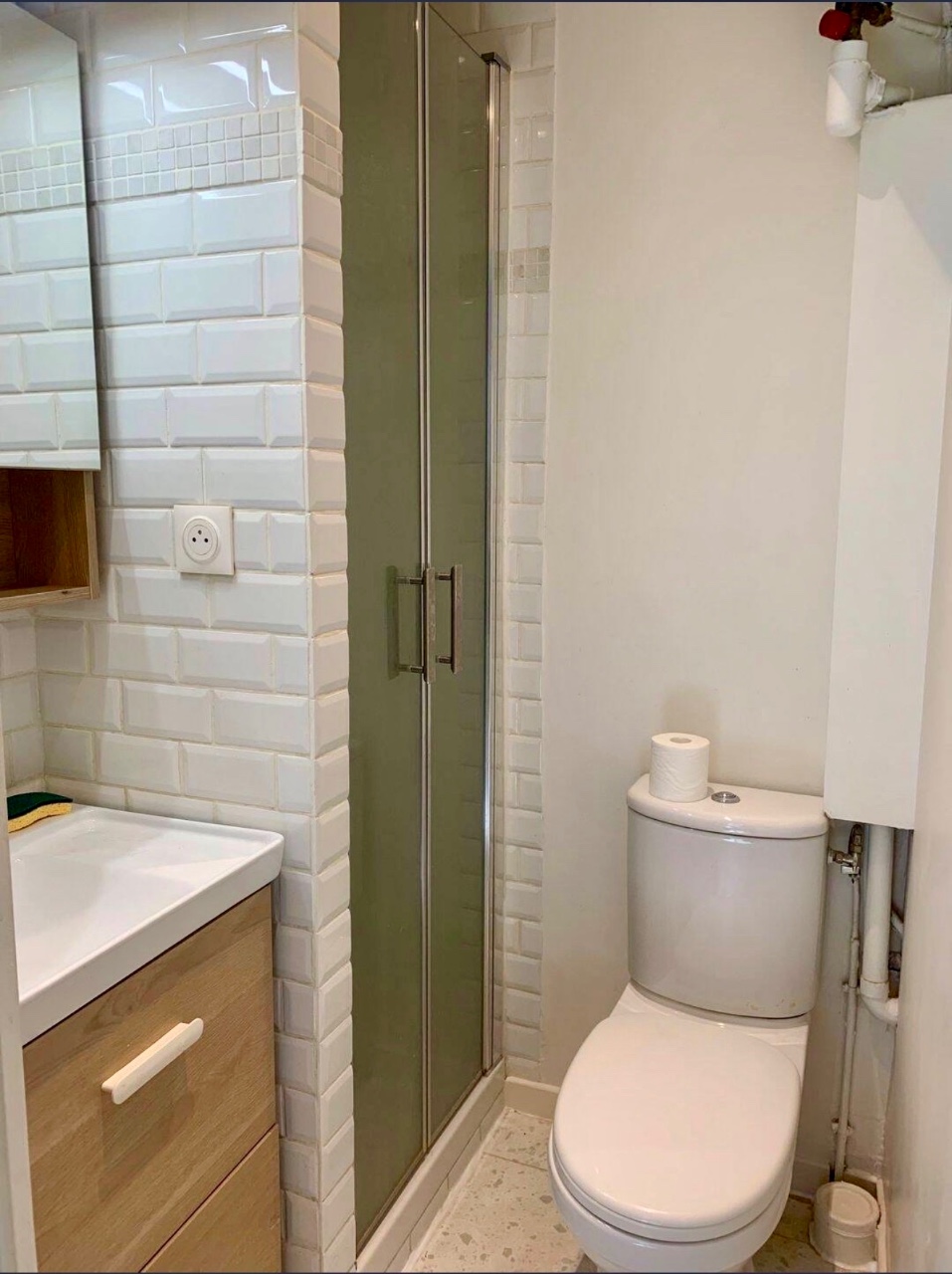 Private shower room and WC